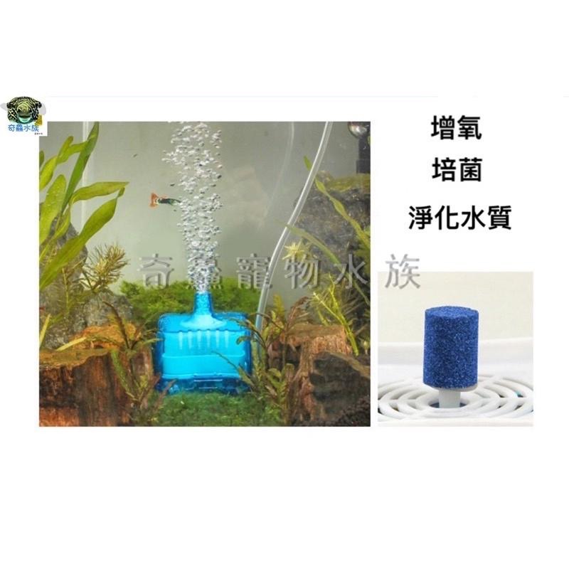【氣動水妖精】水妖精 增氧 培菌 小巧實用 美觀 淨化水質 改善水質 氣動 接幫浦-細節圖2