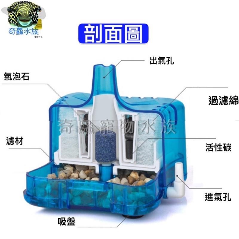【氣動水妖精】水妖精 增氧 培菌 小巧實用 美觀 淨化水質 改善水質 氣動 接幫浦-細節圖3