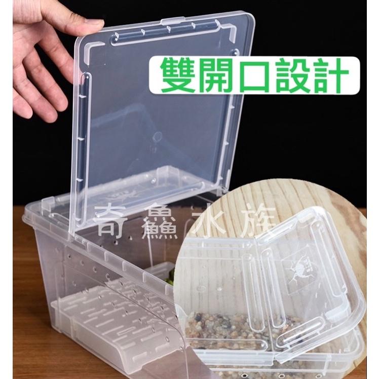 奇鱻水族【乾濕分離飼養盒】S，角蛙飼養 守宮 螃蟹 蠑螈 昆蟲 爬蟲 小寵物 角蛙飼養盒 爬蟲盒 昆蟲盒-細節圖2