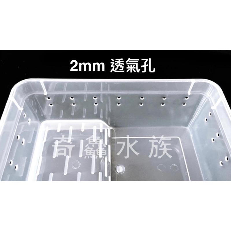 奇鱻水族【乾濕分離飼養盒】S，角蛙飼養 守宮 螃蟹 蠑螈 昆蟲 爬蟲 小寵物 角蛙飼養盒 爬蟲盒 昆蟲盒-細節圖4