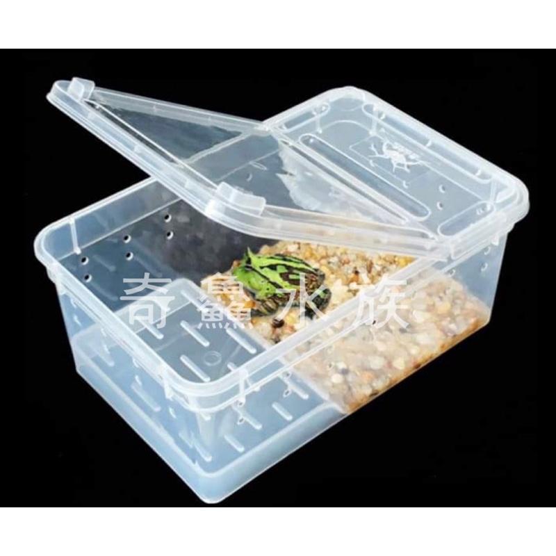 奇鱻水族【乾濕分離飼養盒】S，角蛙飼養 守宮 螃蟹 蠑螈 昆蟲 爬蟲 小寵物 角蛙飼養盒 爬蟲盒 昆蟲盒-細節圖5