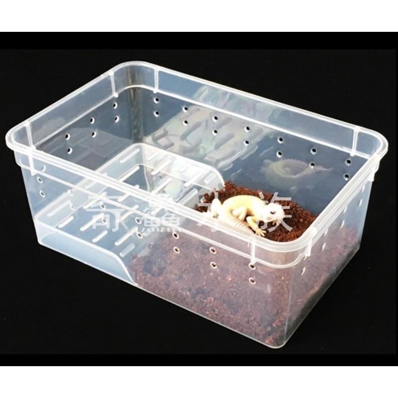 奇鱻水族【乾濕分離飼養盒】S，角蛙飼養 守宮 螃蟹 蠑螈 昆蟲 爬蟲 小寵物 角蛙飼養盒 爬蟲盒 昆蟲盒-細節圖6
