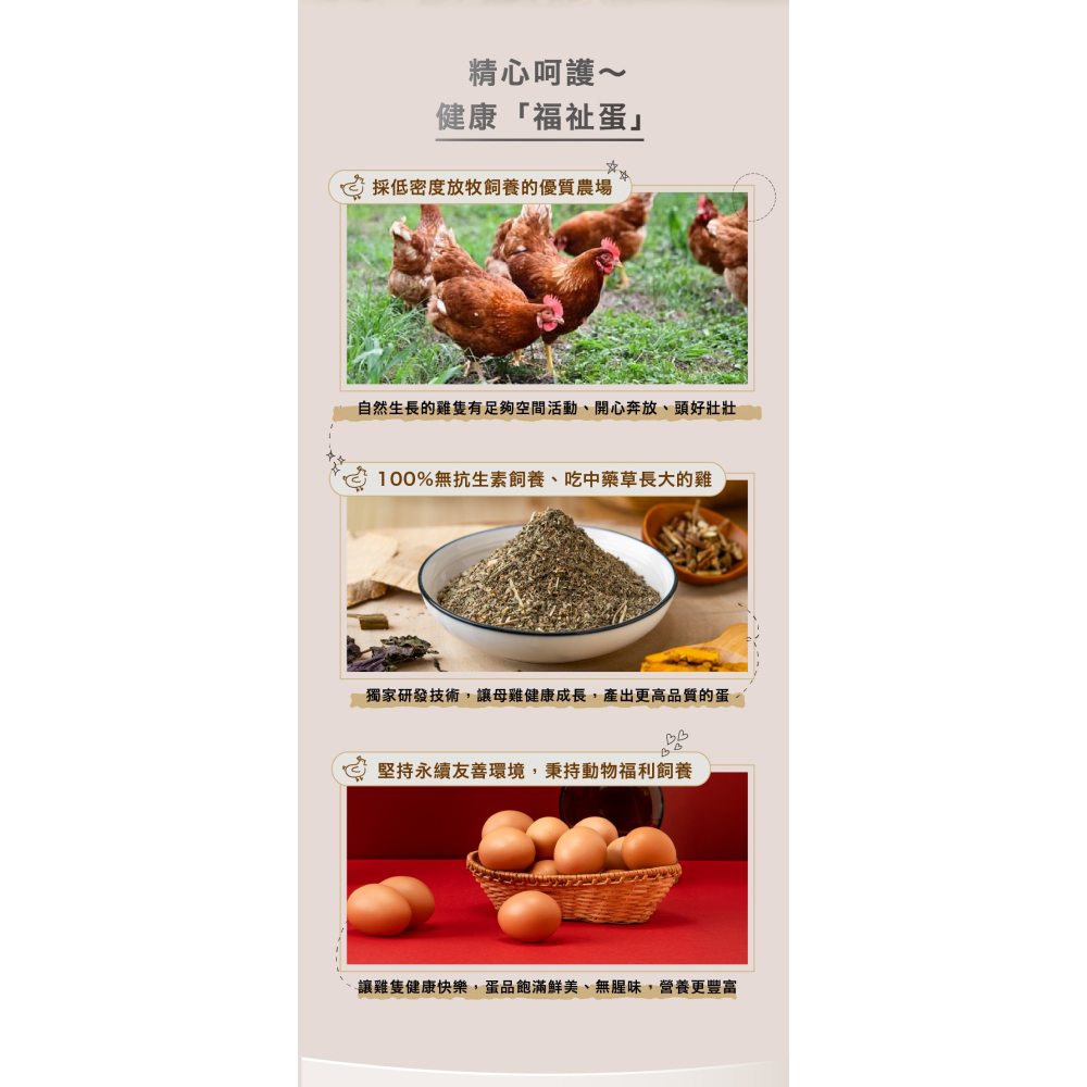 職人雞 健本の源動物福祉卵 2盒/每盒15粒/共30粒-細節圖4