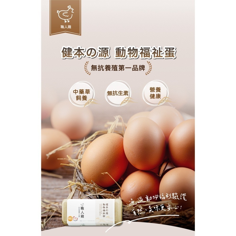 職人雞 健本の源動物福祉卵 1箱/3台斤/約24-32粒（限新竹以北）-細節圖2