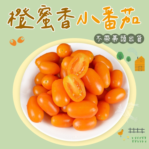【禾鴻】橙蜜香小番茄禮盒5斤(不帶蒂頭出貨)