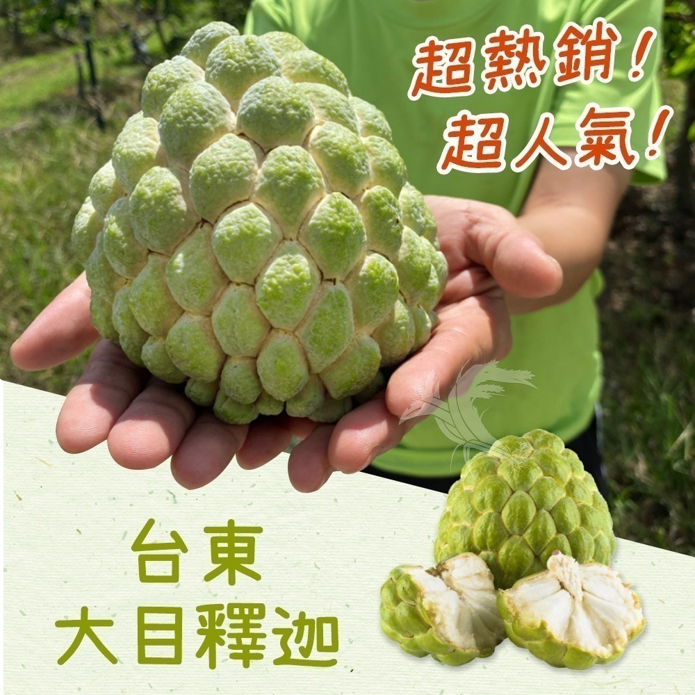 【禾鴻】台東優質大目釋迦10斤/箱(10-12顆/箱_散裝中果)-細節圖2