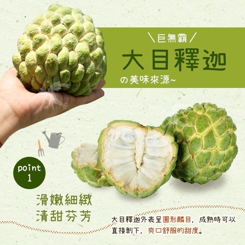 【禾鴻】台東優質大目釋迦5斤/盒(5-6顆/盒_散裝中果)-細節圖5