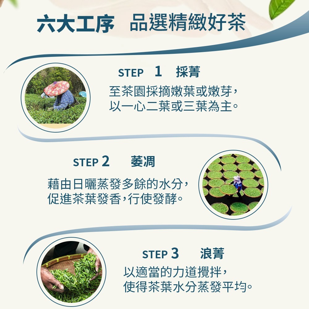 【茶詠春】特選茶包5包組 (凍頂烏龍茶+金萱青茶+紅烏龍茶+蜜香紅茶+四季春茶)-細節圖5