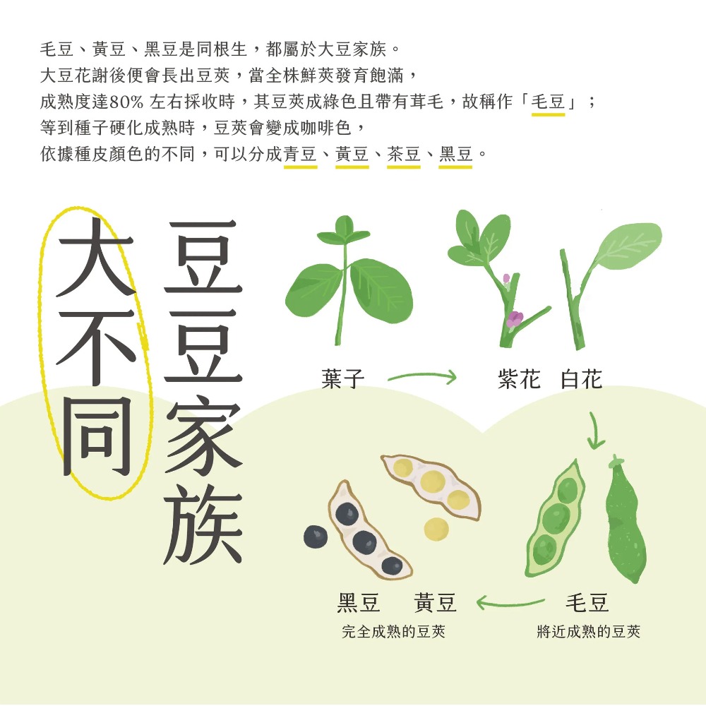 【台南新市區農會】經典原味毛豆莢x5包(400g/包)-細節圖4
