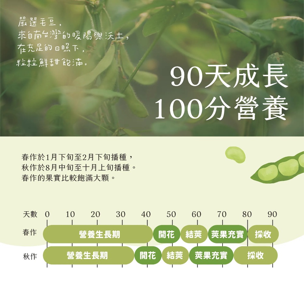 【台南新市區農會】芋香茶豆莢x5包(300g/包)-細節圖3