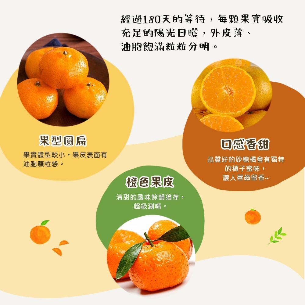 【禾鴻】南投國姓正宗砂糖橘5斤/盒(小果)-細節圖5