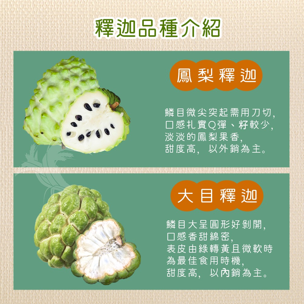 【禾鴻】台東優質鳳梨釋迦(散裝大中顆混箱)-細節圖3