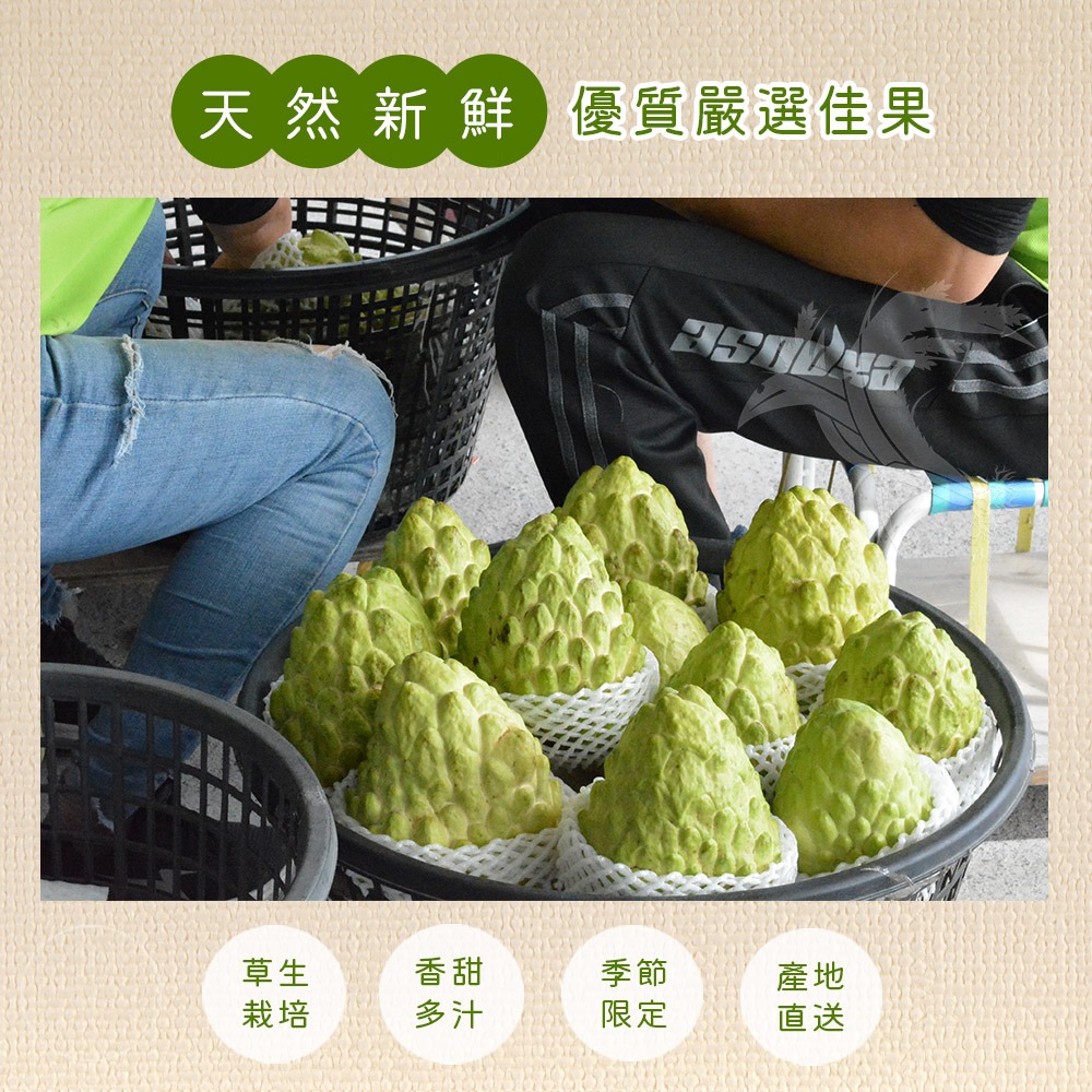 【禾鴻】台東優質鳳梨釋迦(散裝大中顆混箱)-細節圖4