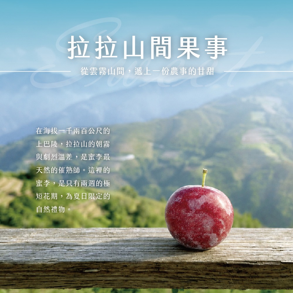 【拉拉山間果事】拉拉山蜜李禮盒(淨重3斤/盒)-細節圖2