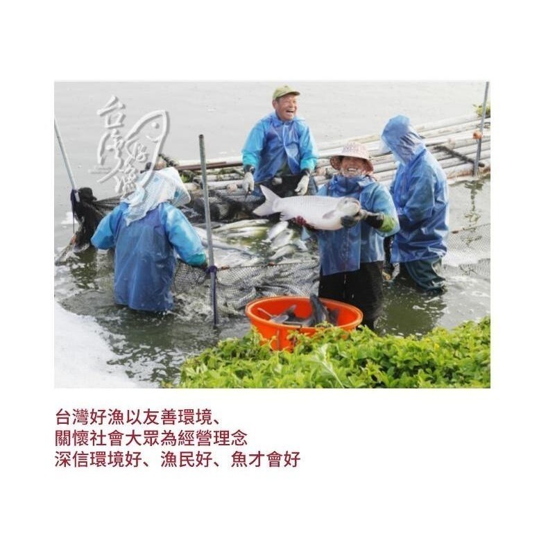 【台灣好漁】智利鮭魚菲力 (200-250g/包) x3包-細節圖4