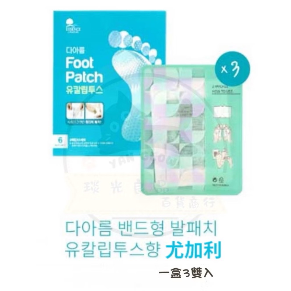 💙 유칼립투스 尤加利