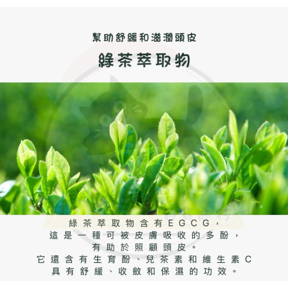 ⭐️現貨快速出貨⭐️ 韓國🇰🇷FOODAHOLIC 小蒼蘭摩洛哥堅果油護髮乳 200ml-細節圖5