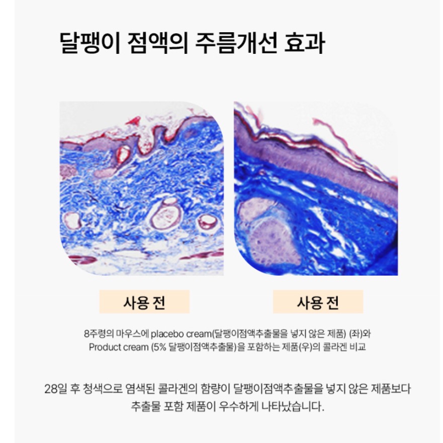 ⭐️現貨快速出貨⭐️ 韓國Foodaholic暴汗不脫妝BB霜50ml(紫色包裝)-細節圖7