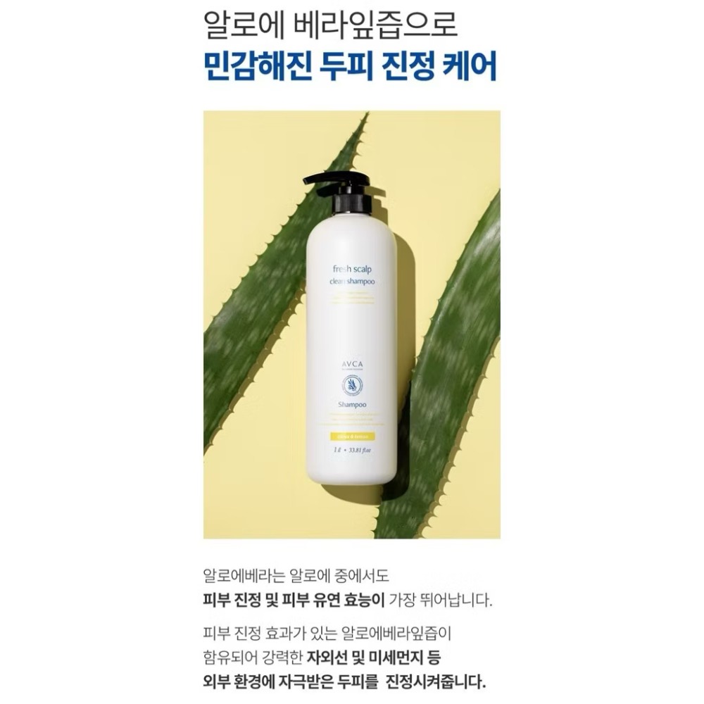 ⭐️現貨快速出貨⭐️ 韓國🇰🇷AVCA 大容量柑橘檸檬頭皮淨化洗髮精 1000ml-細節圖3