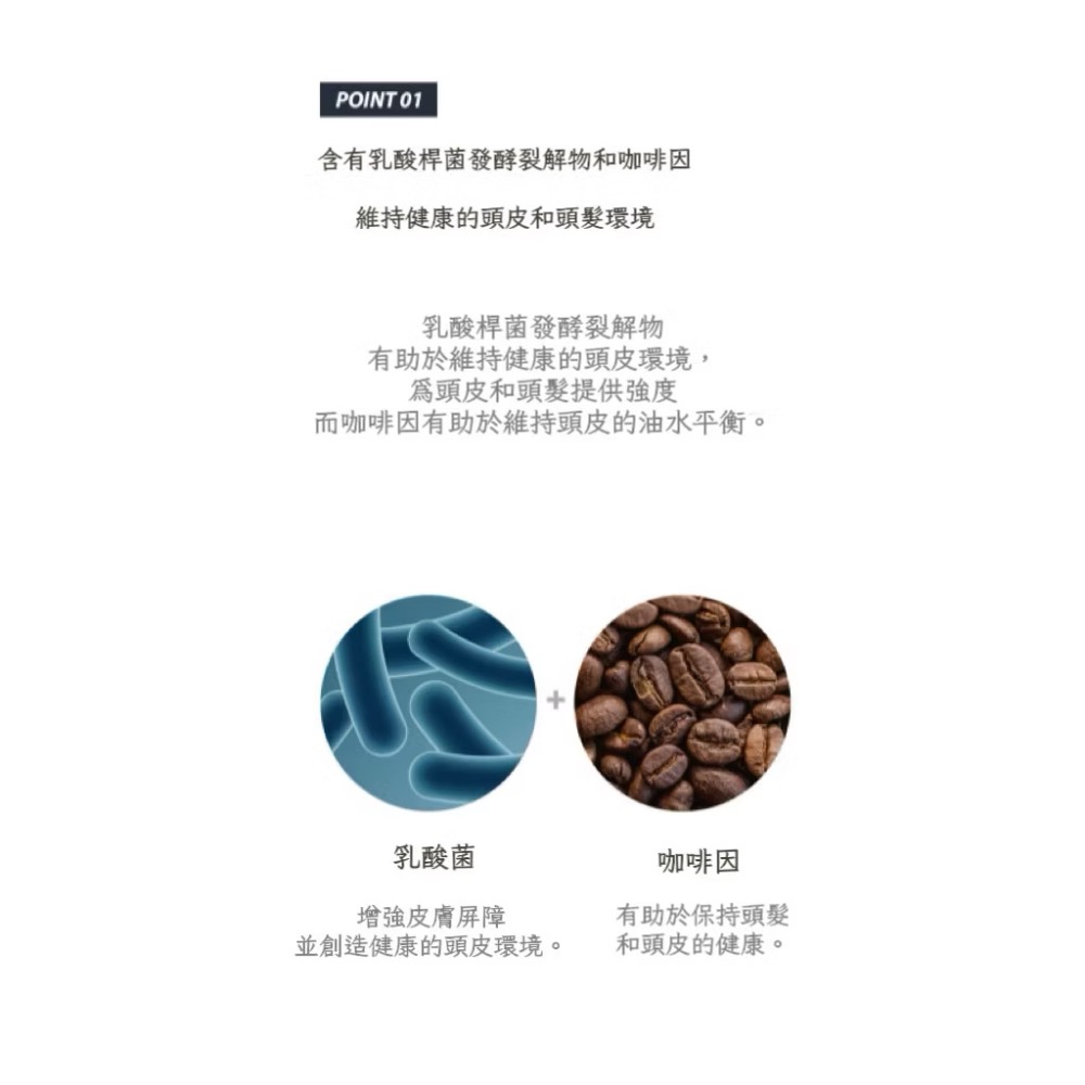 ⭐️現貨快速出貨⭐️ 韓國 🇰🇷AVCA 乳酸菌草本強健洗髮乳 1000ml-細節圖3