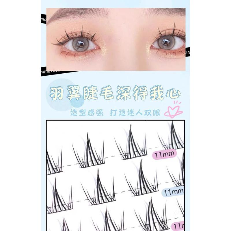 台灣🇹🇼出貨🔥夢鹿羽翼10排大容量尺寸大容量细黑梗濃密分段單簇朵毛80簇假睫毛女-細節圖2