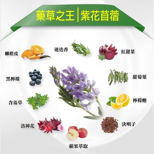 現貨【IVENOR】十時塑 10包/盒 廖家儀代言 漢方草本茶 花草茶 茶包 漢方草本茶飲 時時塑-細節圖5