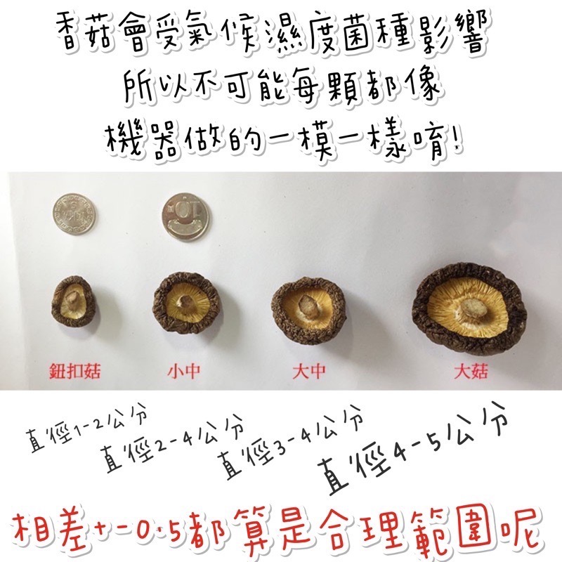 【好因蕈】◐自產自銷/南投魚池◑《湖畔秘境乾香菇》500g-細節圖3