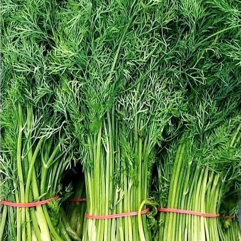 【全館999免運】大叔嚴選~茴香250克±10%-細節圖2