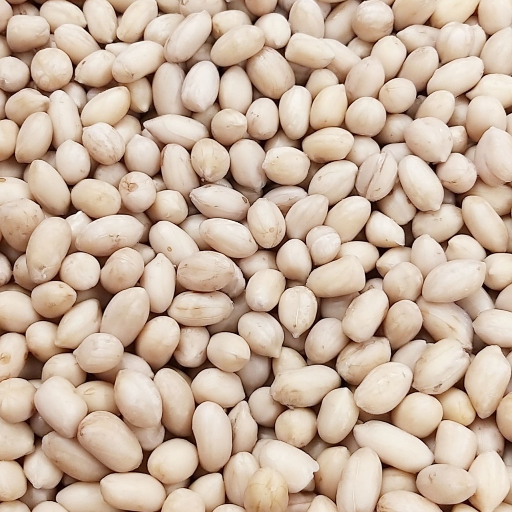 【全館999免運】大叔嚴選~水煮熟花生 約600克±10%-細節圖2