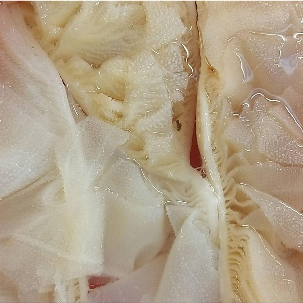 【全館999免運】大叔嚴選~白毛肚 約1斤±10%-細節圖2