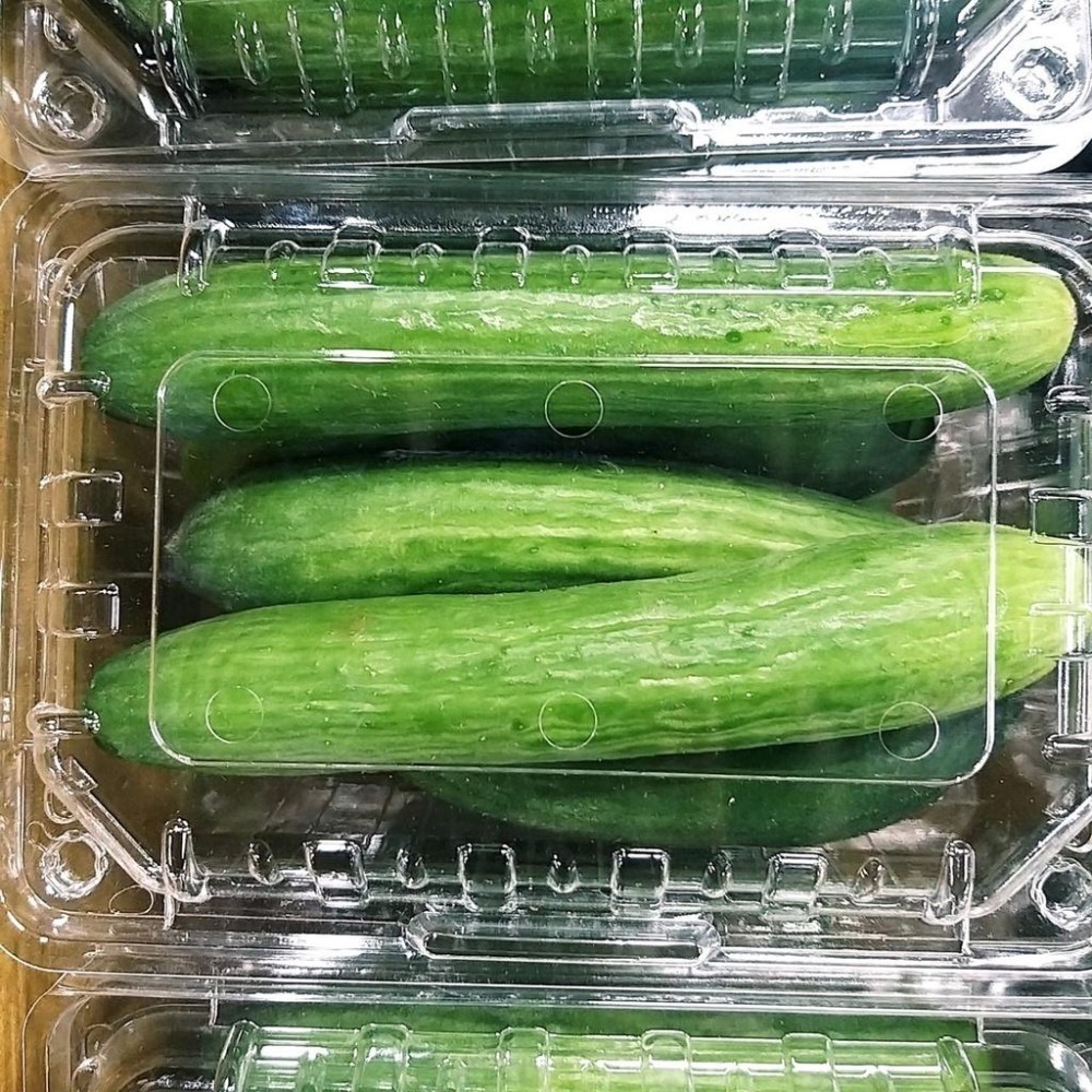 【全館999免運】大叔嚴選~水果小黃瓜 約600克±10%-細節圖2