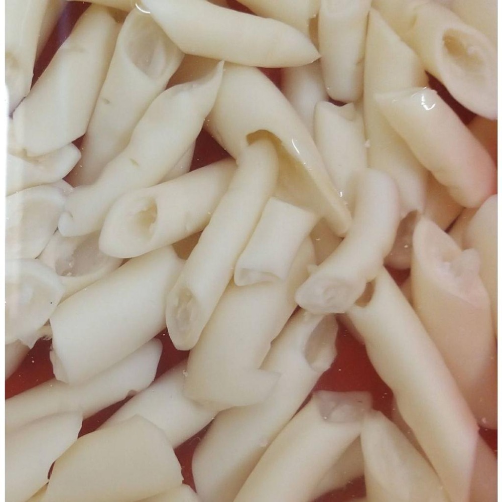 【全館999免運】大叔嚴選~白心管（切）約600克±10%-細節圖2