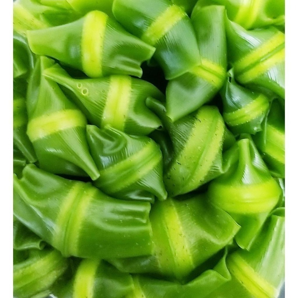 【全館999免運】大叔嚴選~山蘇(1把)(特) 150克 ±10%-細節圖2