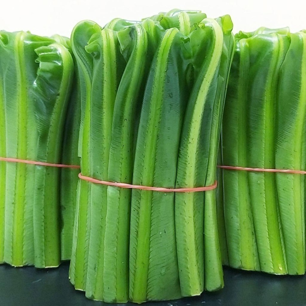 【全館999免運】大叔嚴選~山蘇(1把)(特) 150克 ±10%-細節圖3