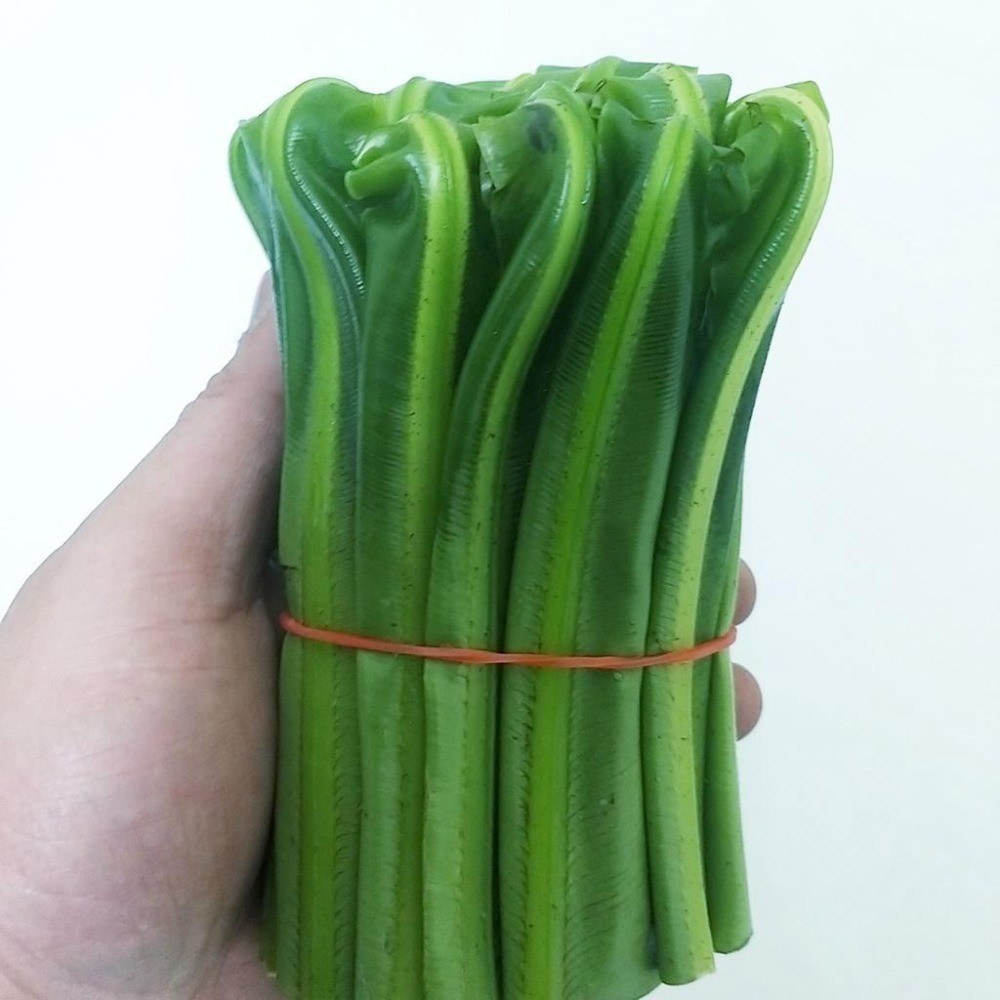 【全館999免運】大叔嚴選~山蘇(1把)(特) 150克 ±10%-細節圖4