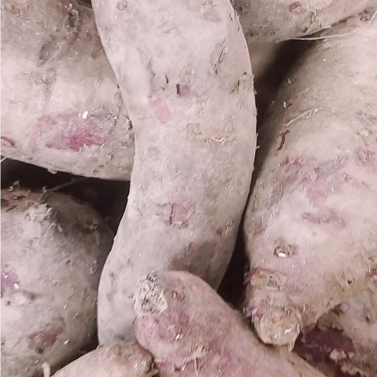 【全館999免運】大叔嚴選~紫地瓜 約600克±10%-細節圖2