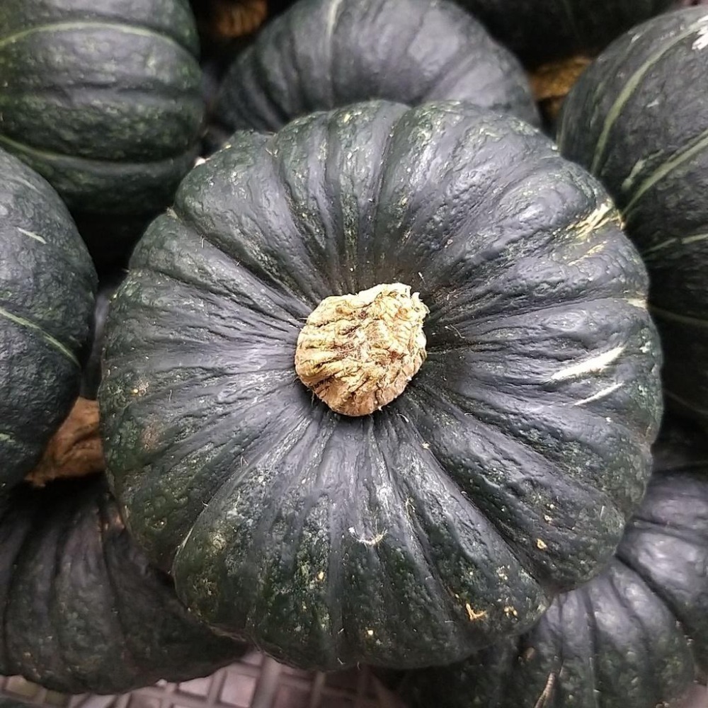 【全館999免運】大叔嚴選~栗子南瓜 約2.5斤±10%-細節圖2