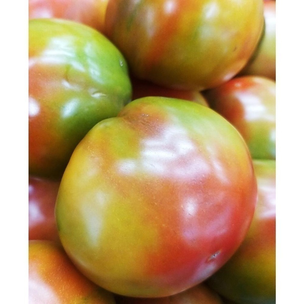 【全館999免運】大叔嚴選~黑柿番茄 約600克±10%-細節圖2