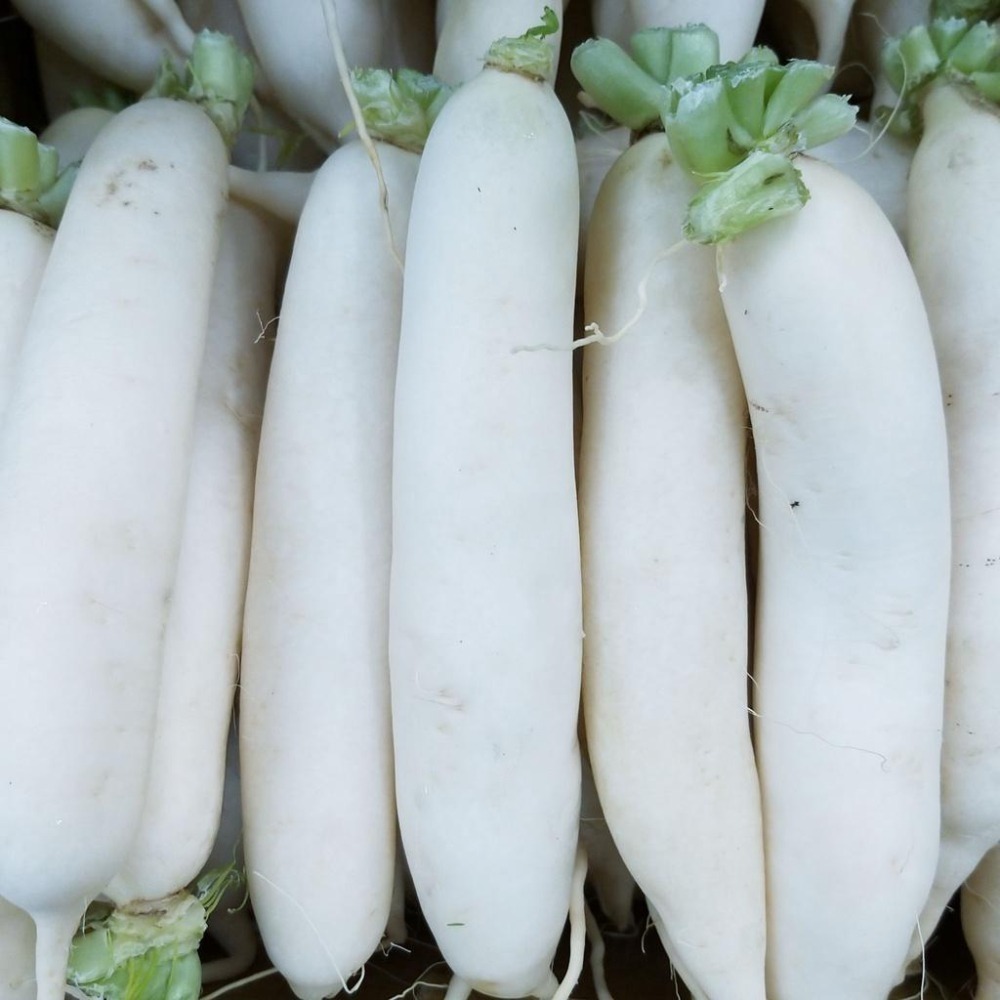 【全館999免運】大叔嚴選~白玉蘿蔔 約600克±10%-細節圖2