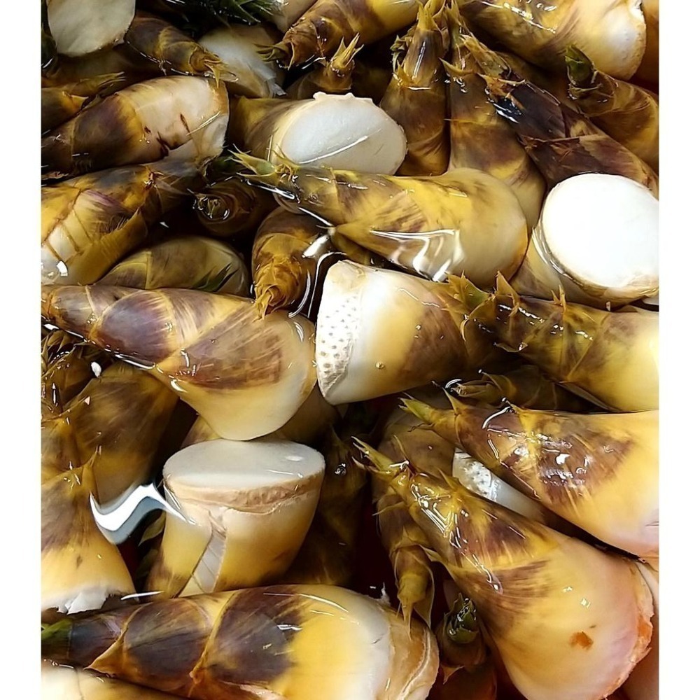 【全館999免運】大叔嚴選~綠竹筍 約600克±10%-細節圖2