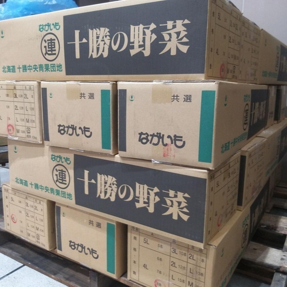 【全館999免運】大叔嚴選~日本北海道十勝山藥(1條) 約1200克 ±10%-細節圖3