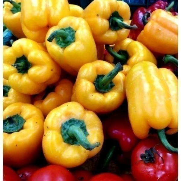 【全館999免運】大叔嚴選~黃紅彩椒 約300克±10%-細節圖2