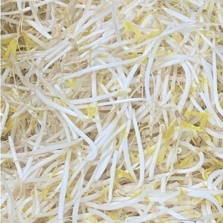 【全館999免運】大叔嚴選~綠豆芽600克±10%-細節圖3