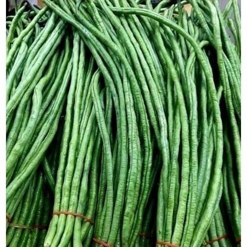 【全館999免運】大叔嚴選~菜豆 約300克±10%-細節圖2