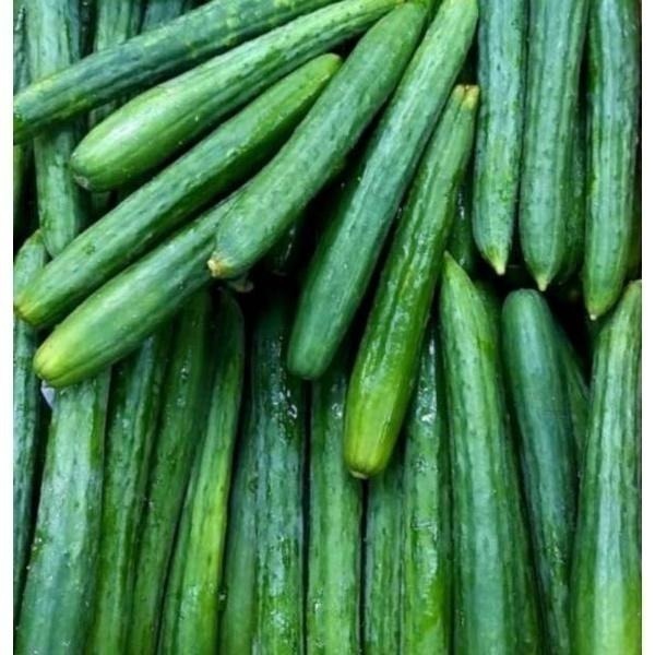 【全館999免運】大叔嚴選~小黃瓜 約300克±10%-細節圖2