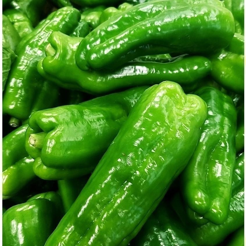 【全館999免運】大叔嚴選~青椒-細節圖2