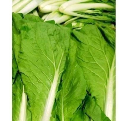 【全館999免運】大叔嚴選~蚵白菜 約300克±10%-細節圖2