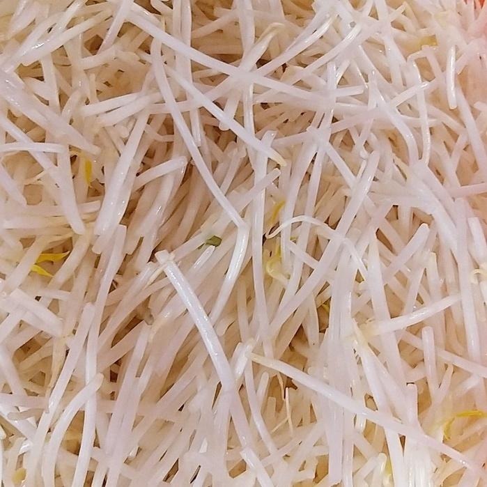 【全館999免運】大叔嚴選~銀芽 600克±10%-細節圖2