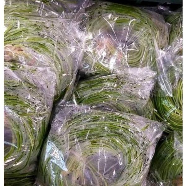 【全館999免運】大叔嚴選~美濃野蓮(水蓮) 約200克/包-細節圖2