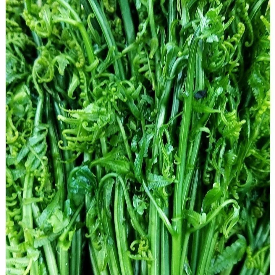 【全館999免運】大叔嚴選~過貓 約300克±10%-細節圖2